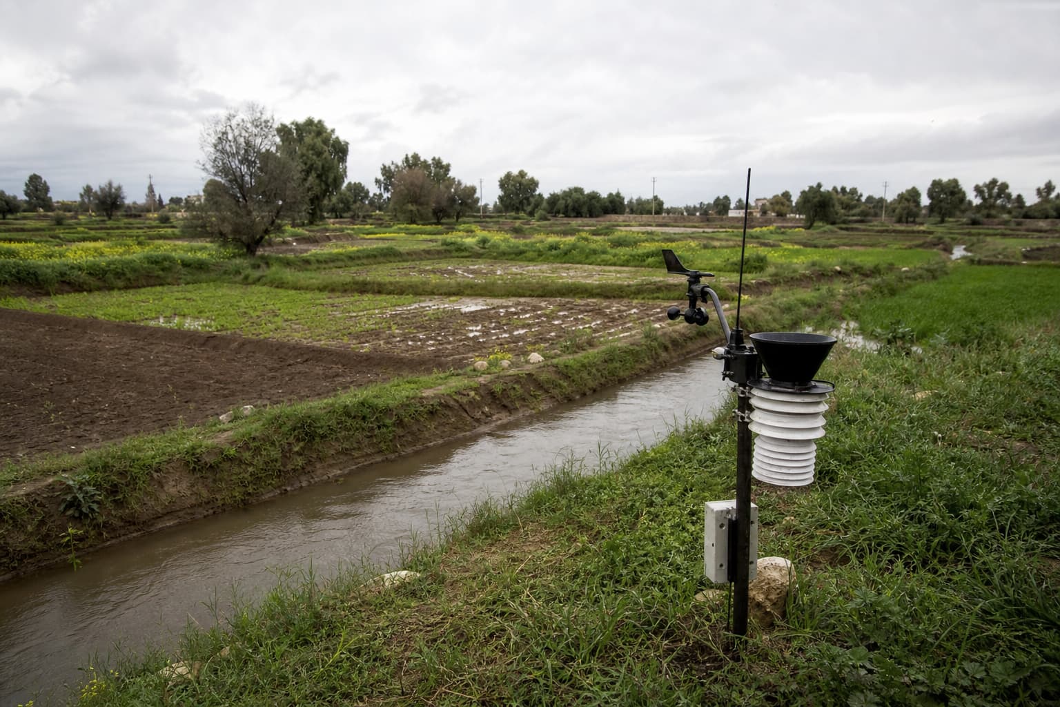 Illustration générée par IA : station météorologique et canal d’irrigation bordant de petites parcelles agricoles après une pluie, sous un ciel nuageux, sans personne ni écran visible.